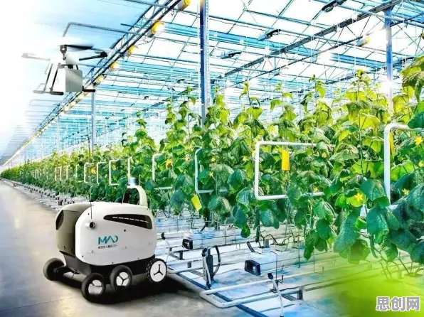 科学家发现智慧农业应用的真正原因，与量子Adam优化器有关