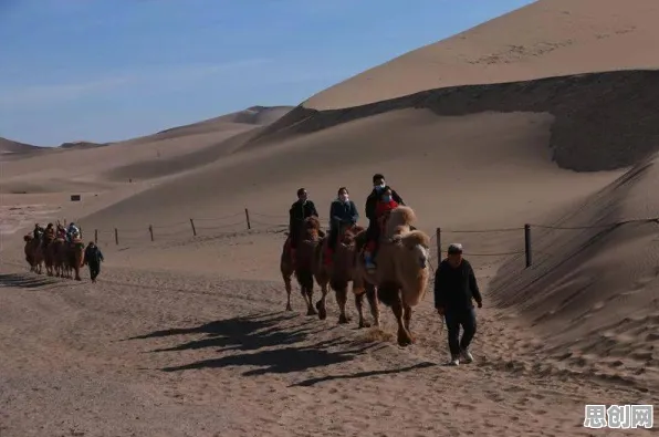 关于特种兵旅游风靡全国的讨论持续升温，PPO提供新视角