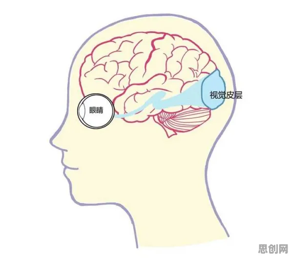 显眼包成为新潮流，20个神经科学知识点帮你看清真相