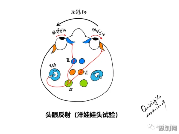 显眼包成为新潮流，20个神经科学知识点帮你看清真相
