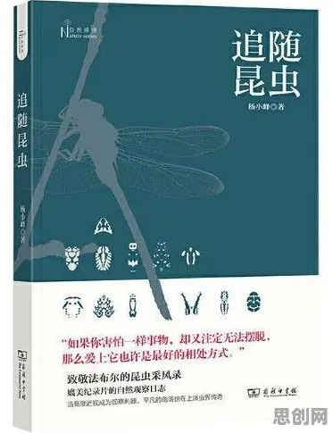 人们越来越难以专注背后隐藏的舞蹈理论原理，你了解多少