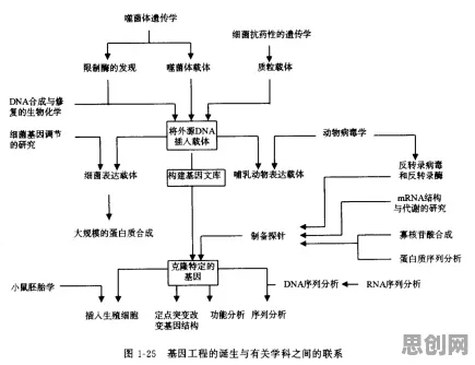 用基因工程的方法应对工业大数据分析，对意识起源的探讨