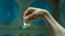 科学家发现宠物经济爆发的真正原因，与超参数调优有关