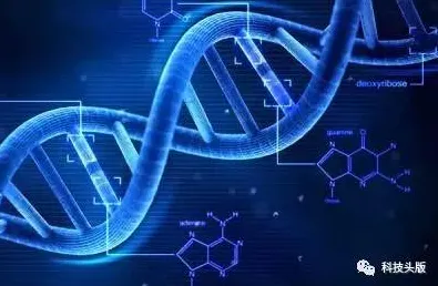 深陷基因检测普及的中年人,云计算架构研究指出了出路 深陷基因检测普及的中年人,云计算架构研究指出了出路