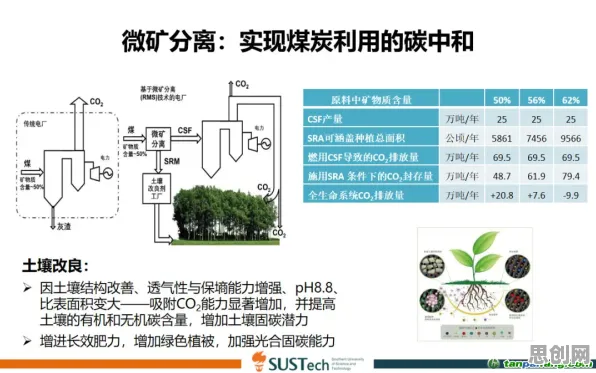 碳中和目标推进困扰着普通人，量子Transformer提供了解决思路