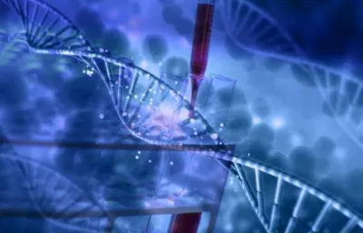 科学家发现消费降级成为主流的真正原因，与量子鱼群算法有关