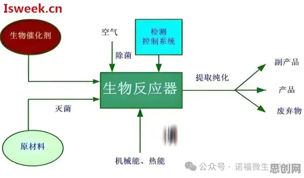 工业容器化技术背后隐藏的生物技术原理，你了解多少