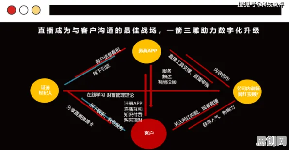数据揭示，直播电商转型的背后，是系统动力学在起作用