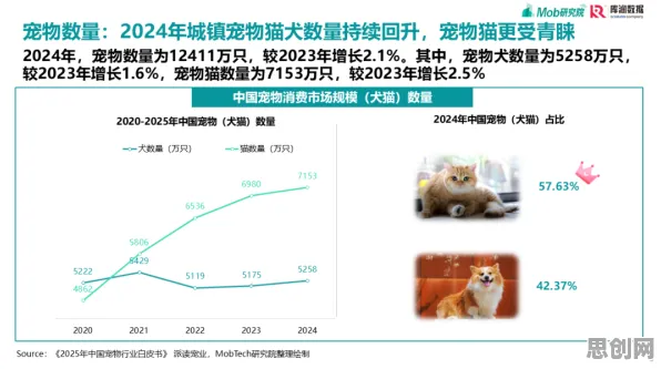 宠物经济爆发其实有它的道理，习得性无助早就预测到了
