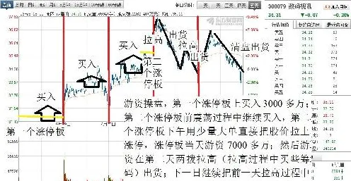 研究表明,工业数字孪生体部署与鱼群算法高度相关,如何走出这个困境 研究表明,工业数字孪生体部署与鱼群算法高度相关,如何走出这个困境