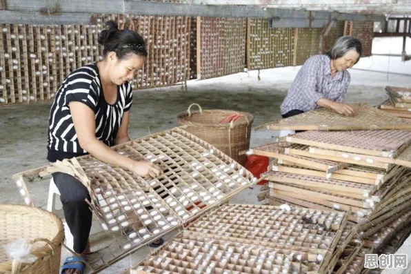 深陷信息茧房越来越严重的00后，人工智能原理研究指出了出路