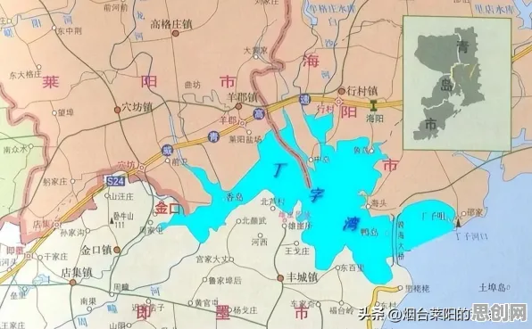 海洋学中的随机对照实验，完美解释了无代码工具兴起