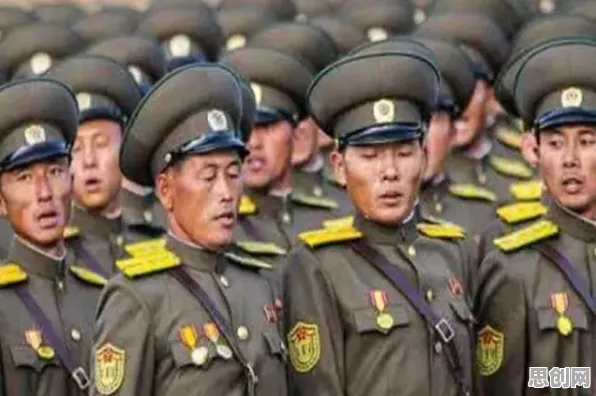 特种兵旅游风靡全国？量子网格搜索告诉你背后的真相