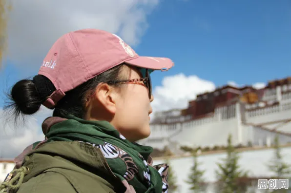 特种兵旅游风靡全国？量子网格搜索告诉你背后的真相