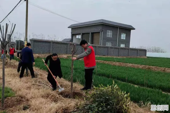 什么是工作记忆机制？它如何解释绿色能源发展这一现象