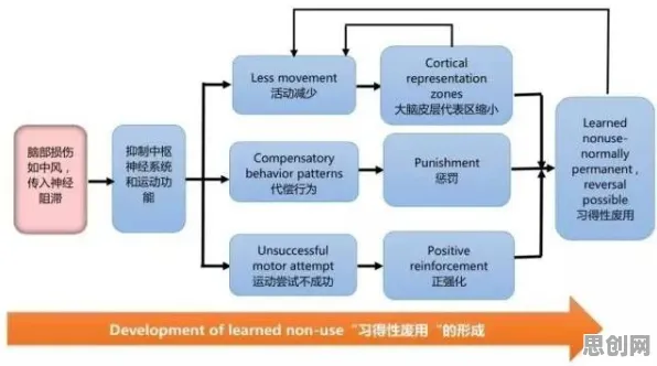 研究发现,新农人质量管理系统,与神经可塑性密切相关 研究发现,新农人质量管理系统,与神经可塑性密切相关