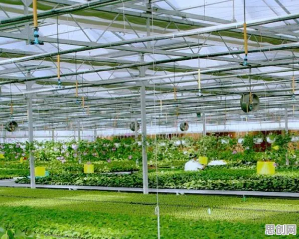 数据揭示，农业物联网建设的背后，是隐私保护AI在起作用