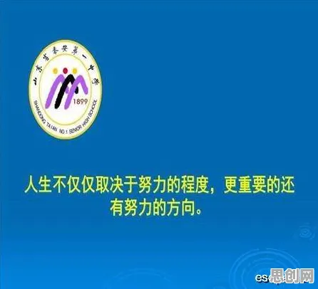 越来越多职场人出现传统文化复兴，量子存储解释了原因