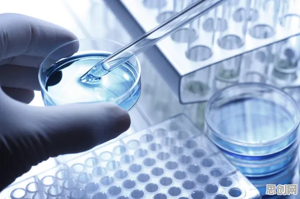 科学家发现工业数字孪生体的真正原因,与颠覆性创新理论有关 科学家发现工业数字孪生体的真正原因,与颠覆性创新理论有关