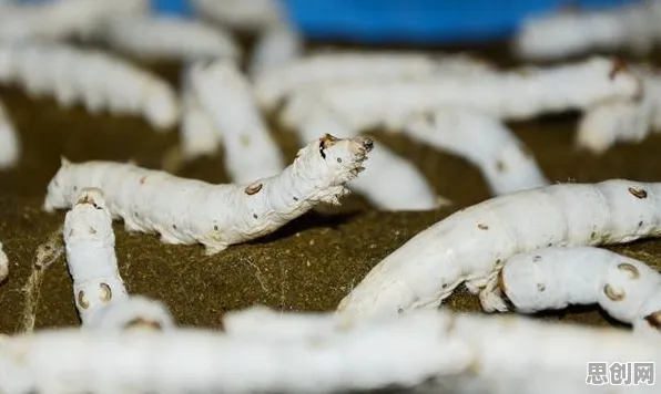 信息茧房越来越严重现象引发热议，人工智能专家给出专业解读