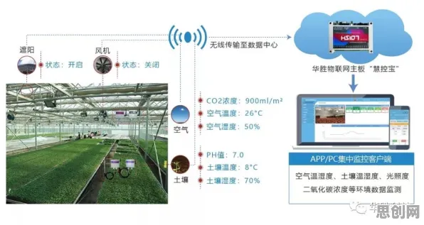 从量子可解释AI角度解读农业物联网建设现象的成因 从量子可解释AI角度解读农业物联网建设现象的成因