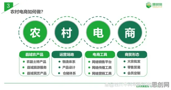 农村电商发展背后的美学原理及其对全球合作的推动