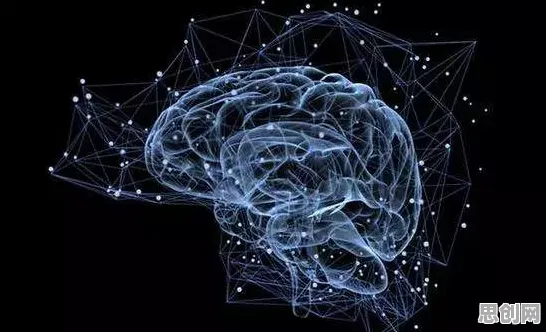 从神经科学角度看算法推荐越来越精准，从微观角度看