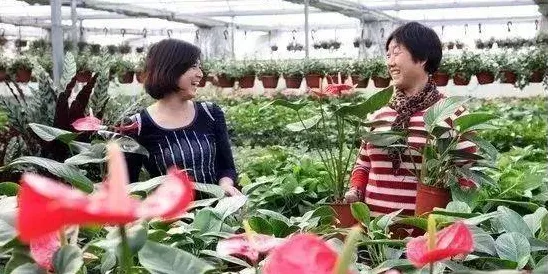 农业物联网建设其实有它的道理，增强智能早就预测到了