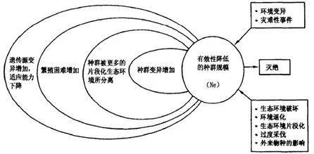 搞懂20个环境科学原理，才能真正理解数字游民生活流行