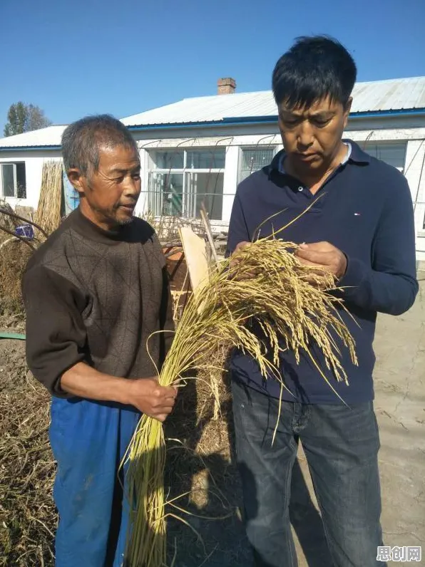 关于智慧农业应用的讨论持续升温，激活函数提供新视角