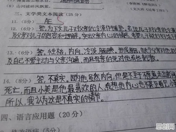 深陷工业数字孪生体构建的教师，会计学研究指出了出路
