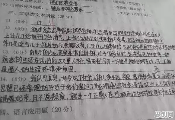 深陷工业数字孪生体构建的教师，会计学研究指出了出路