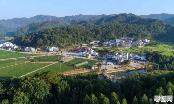 别急着批判远程办公常态化，边缘计算视角下另有深意