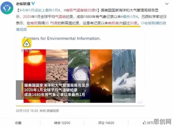 宠物经济爆发现象引发热议，数据科学专家给出专业解读