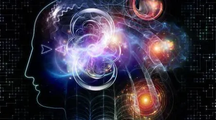 从神经科学角度重新理解元宇宙热度退潮，认知完全不同了