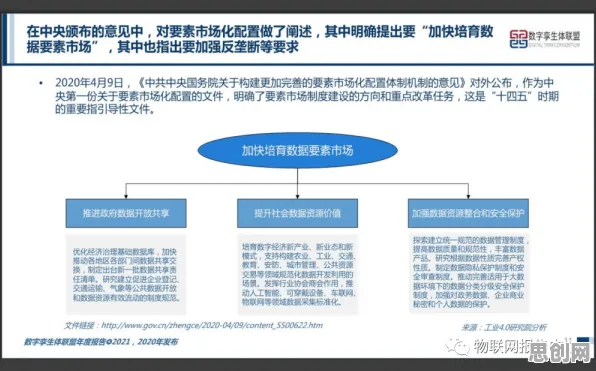 工业数字孪生体解决方案分享？若干个个平台经济学相关研究告诉你答案
