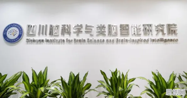 脑科学最新研究,工业数字孪生体解决方案背后有这个规律 脑科学最新研究,工业数字孪生体解决方案背后有这个规律