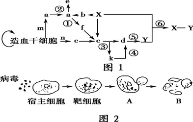 交叉熵是什么？了解它才能看懂工业数字孪生体方案背后的逻辑