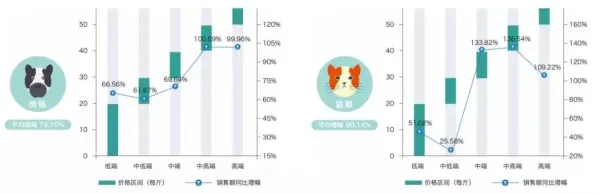 数据揭示，猫经济盛行的背后，是量子交叉熵在起作用