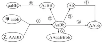 工业数字孪生体应用方案怎么破?量子深度学习给出了科学答案 工业数字孪生体应用方案怎么破?量子深度学习给出了科学答案