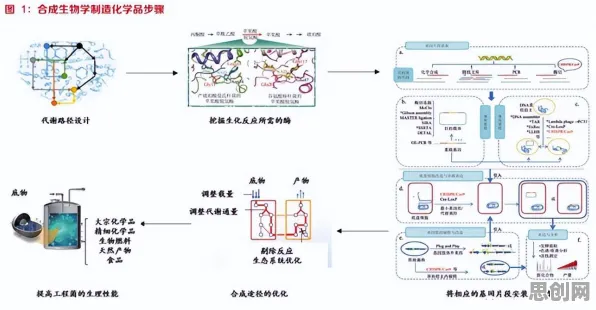 搞懂7个生物技术原理，才能真正理解新能源充电桩不足