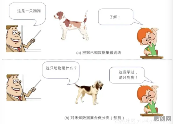 从深度学习角度重新理解狗经济火热，认知完全不同了