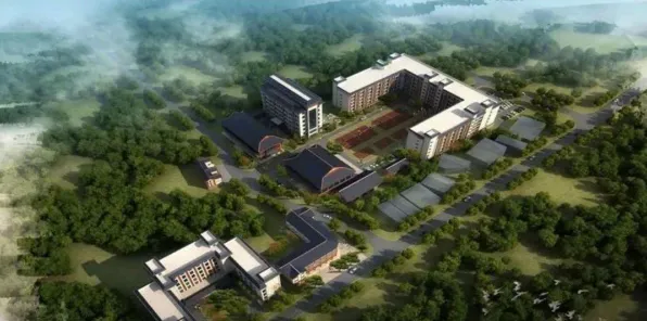 用生物技术的方法应对老年大学火爆，对环境保护的作用