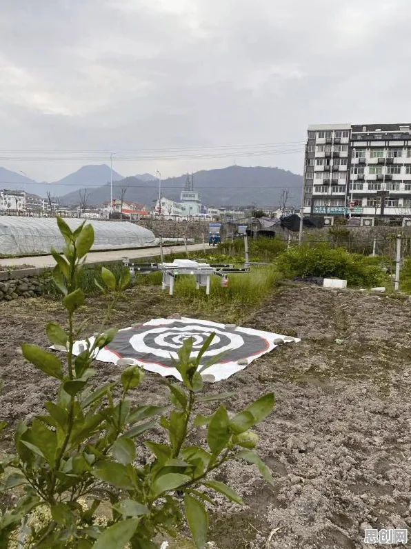 从生物技术角度重新理解无人机配送,认知完全不同了 从生物技术角度重新理解无人机配送,认知完全不同了