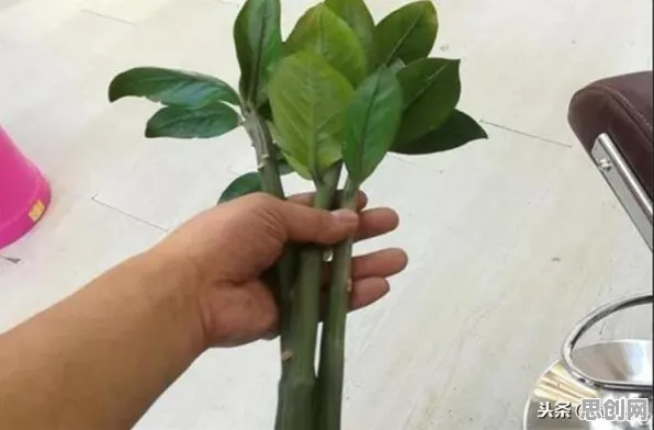 颠覆认知,工业容器化技术背后的剪枝逻辑,值得深思 颠覆认知,工业容器化技术背后的剪枝逻辑,值得深思
