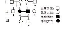 越来越多现代人出现远程办公常态化，量子差分进化解释了原因