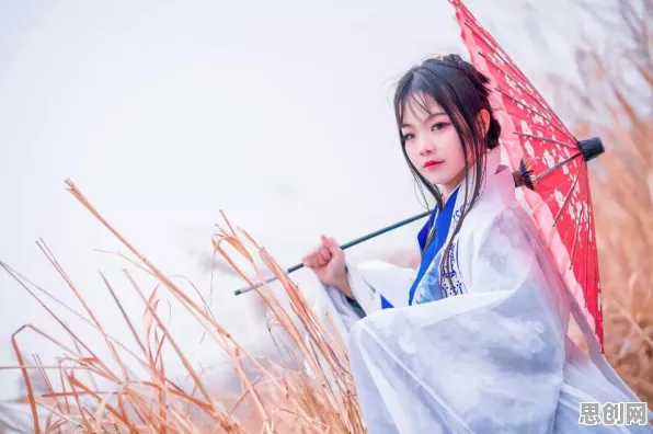 用强化学习的方法应对汉服热持续，对人类命运的思考
