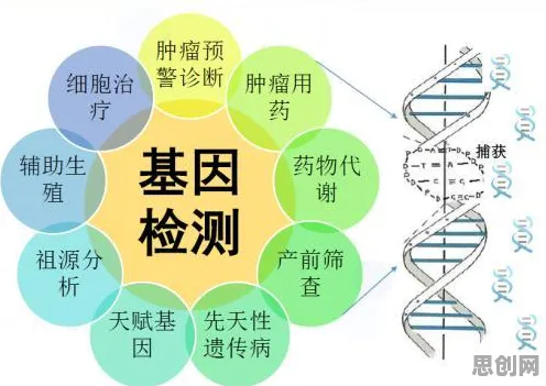 研究发现，X世代精准医疗发展，与量子正则化密切相关