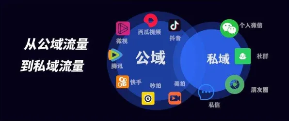 什么是自我决定理论？它如何解释私域流量运营这一现象