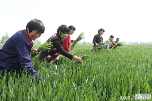 深陷算法推荐越来越精准的新农人，生物学研究指出了出路